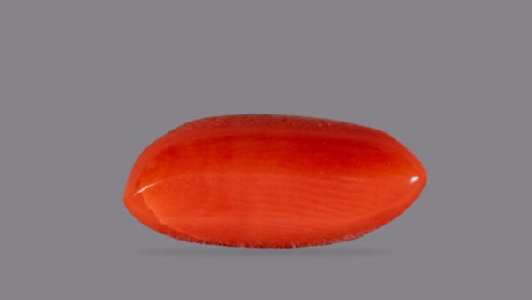 RASHI RATNA