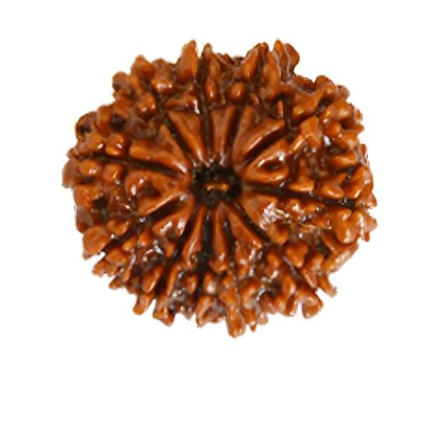 RASHI RATNA