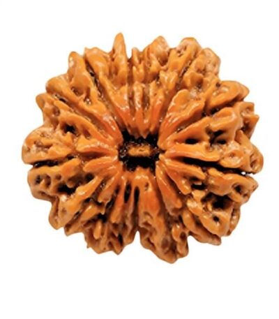 RASHI RATNA