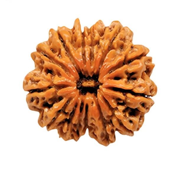 RASHI RATNA