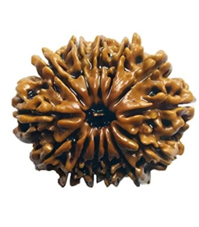 RASHI RATNA