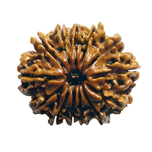 RASHI RATNA